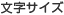 文字サイズ